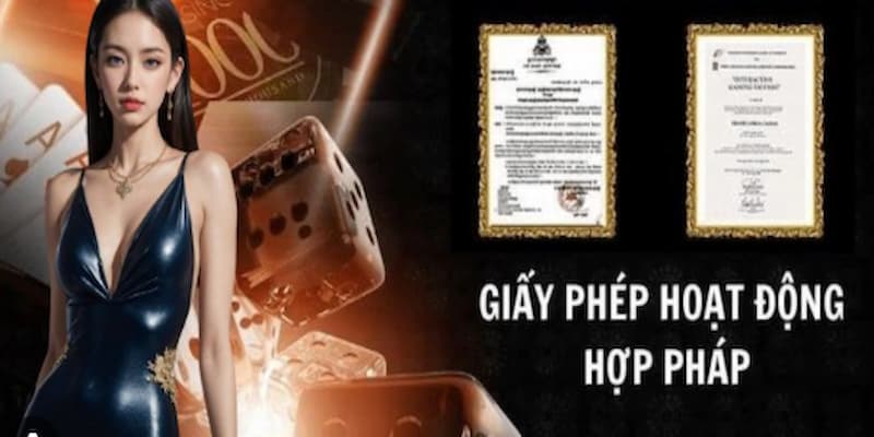 Giấy phép hoạt động i9bet Các loại Giấy phép hoạt động i9bet